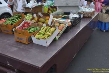 Romería ofrenda a San Venancio en Casas Nuevas (Foto TF)